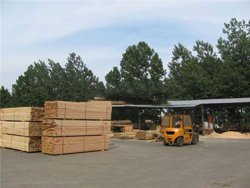 日照木材加工厂