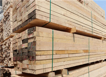 铁杉建筑木方