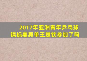 2017年亚洲青年乒乓球锦标赛男单王楚钦参加了吗