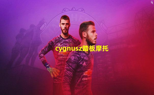 cygnusz踏板摩托