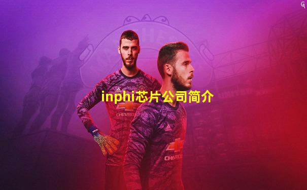 inphi芯片公司简介