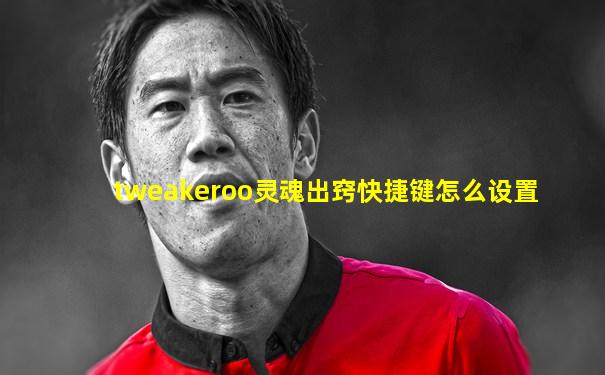 tweakeroo灵魂出窍快捷键怎么设置