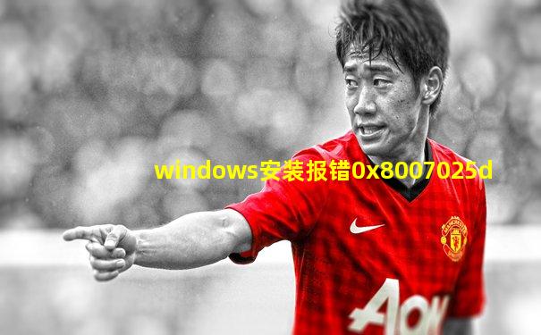 windows安装报错0x8007025d