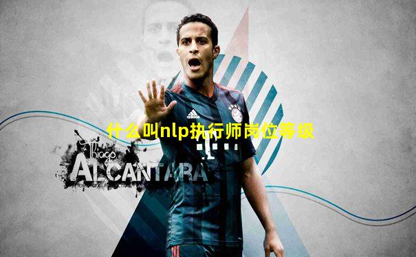 什么叫nlp执行师岗位等级