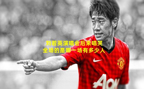 刘若英演唱会后来唱哭全场的是哪一场有多少人