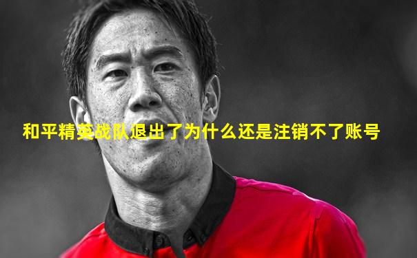 和平精英战队退出了为什么还是注销不了账号