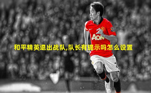 和平精英退出战队,队长有提示吗怎么设置