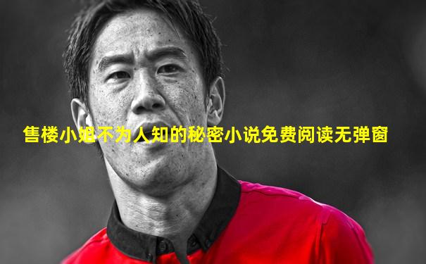 售楼小姐不为人知的秘密小说免费阅读无弹窗