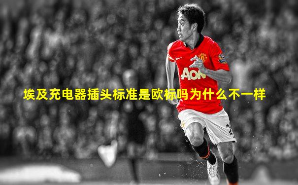 埃及充电器插头标准是欧标吗为什么不一样