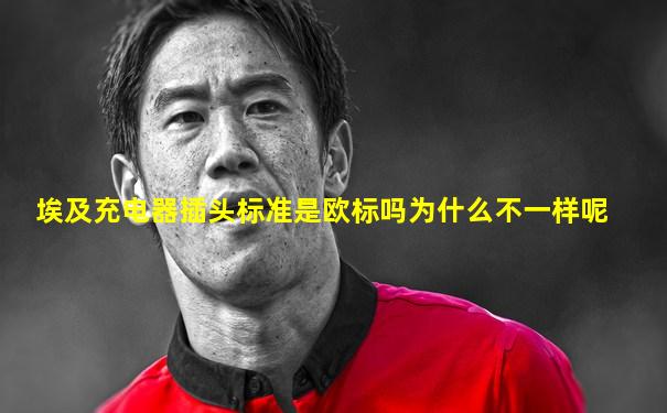 埃及充电器插头标准是欧标吗为什么不一样呢