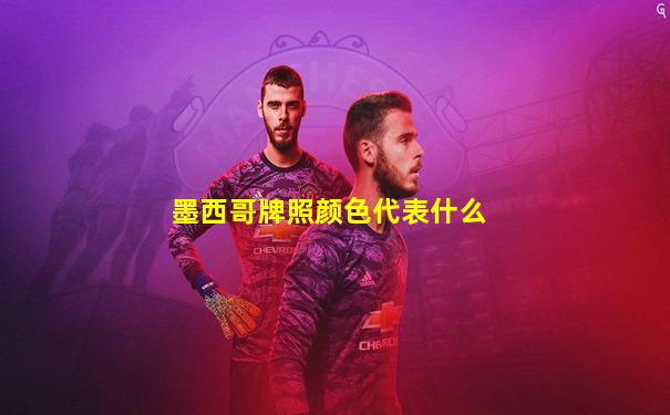 墨西哥牌照颜色代表什么