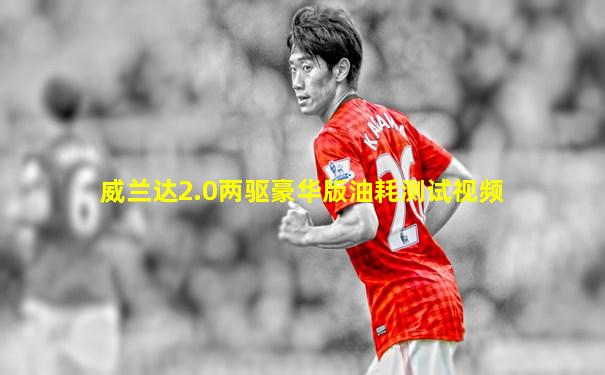 威兰达2.0两驱豪华版油耗测试视频