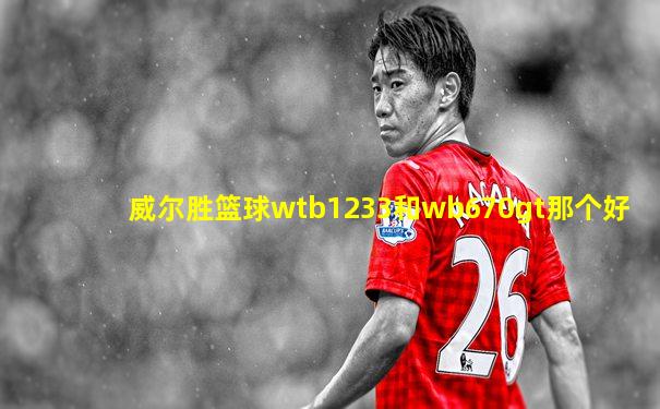 威尔胜篮球wtb1233和wb670gt那个好