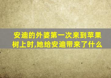 安迪的外婆第一次来到苹果树上时,她给安迪带来了什么
