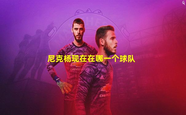 尼克杨现在在哪一个球队