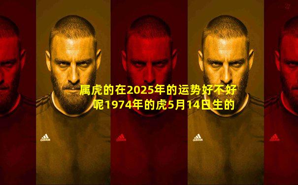 属虎的在2025年的运势好不好呢1974年的虎5月14日生的