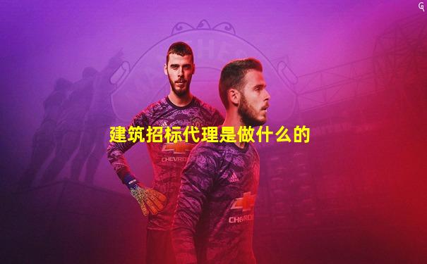 建筑招标代理是做什么的