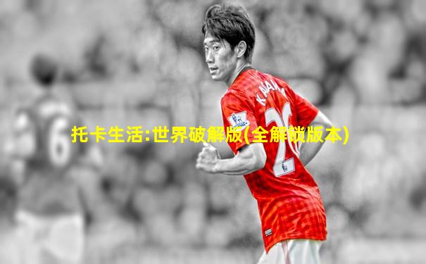 托卡生活:世界破解版(全解锁版本)