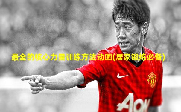 最全的核心力量训练方法动图(居家锻炼必备)