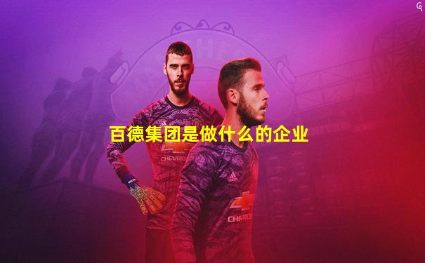 百德集团是做什么的企业