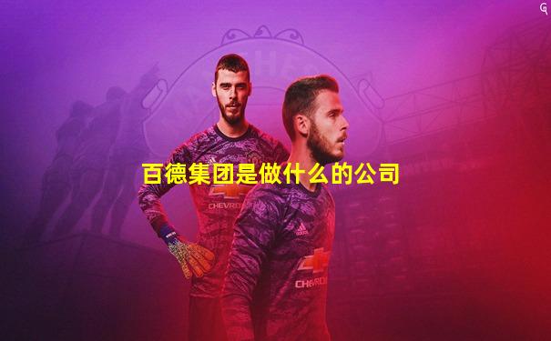 百德集团是做什么的公司