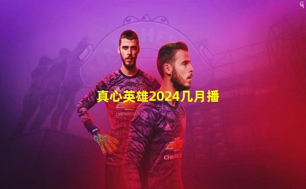 真心英雄2024几月播