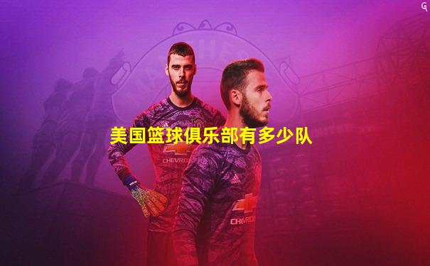 美国篮球俱乐部有多少队