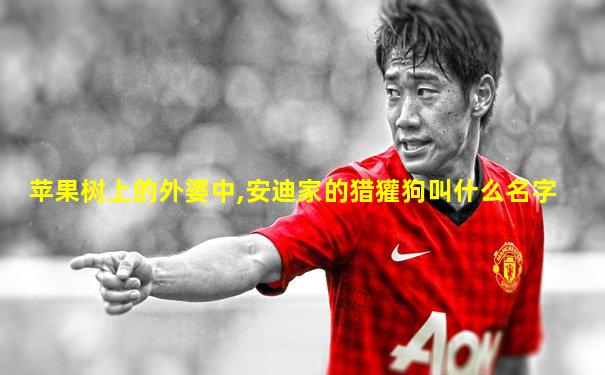 苹果树上的外婆中,安迪家的猎獾狗叫什么名字
