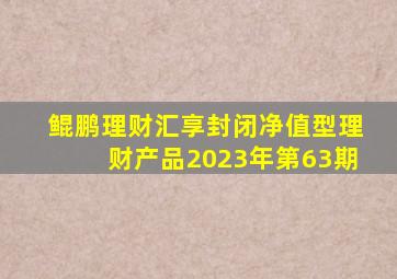 鲲鹏理财汇享封闭净值型理财产品2023年第63期