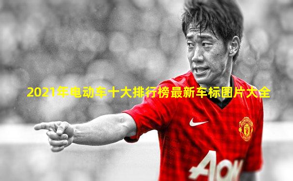 2021年电动车十大排行榜最新车标图片大全