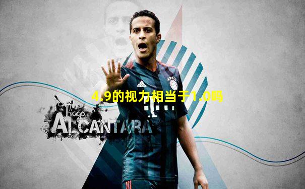 4.9的视力相当于1.0吗