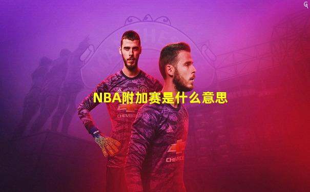 NBA附加赛是什么意思