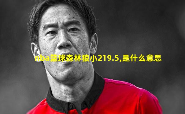 nba篮球森林狼小219.5,是什么意思