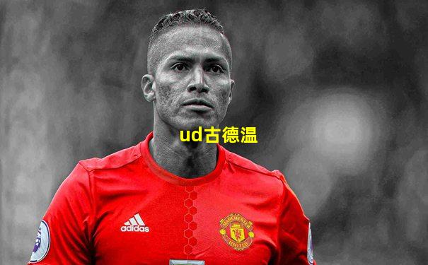 ud古德温