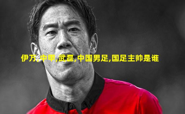 伊万,中甲,武磊,中国男足,国足主帅是谁