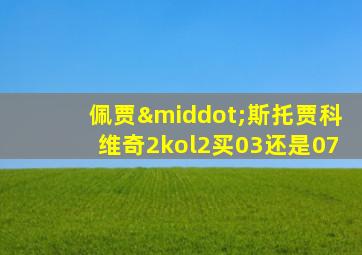 佩贾·斯托贾科维奇2kol2买03还是07