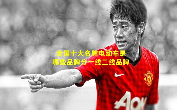 全国十大名牌电动车是哪些品牌分一线二线品牌