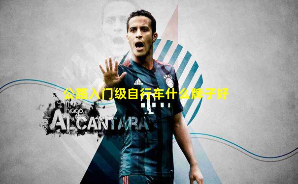 公路入门级自行车什么牌子好