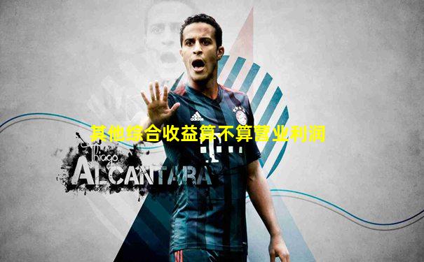 其他综合收益算不算营业利润