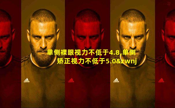 单侧裸眼视力不低于4.8,单侧矫正视力不低于5.0‌3。