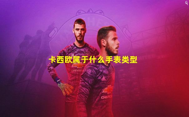 卡西欧属于什么手表类型