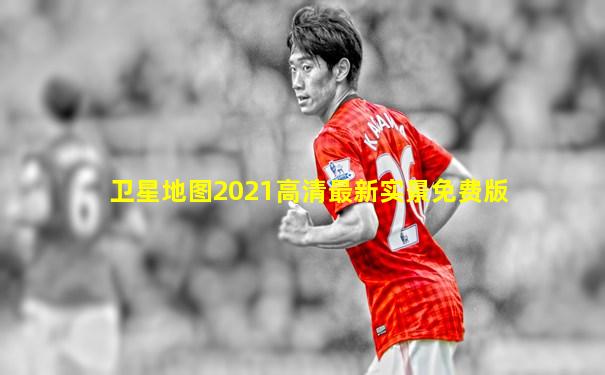 卫星地图2021高清最新实景免费版