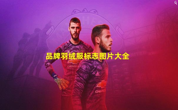 品牌羽绒服标志图片大全
