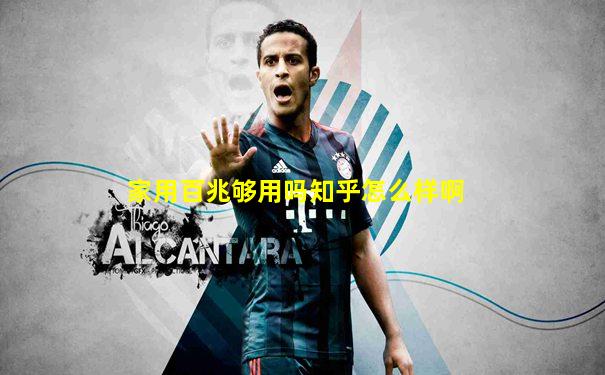 家用百兆够用吗知乎怎么样啊