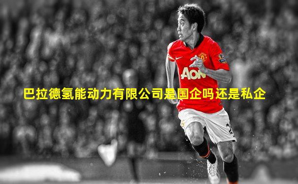 巴拉德氢能动力有限公司是国企吗还是私企