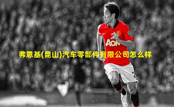 弗恩基(昆山)汽车零部件有限公司怎么样