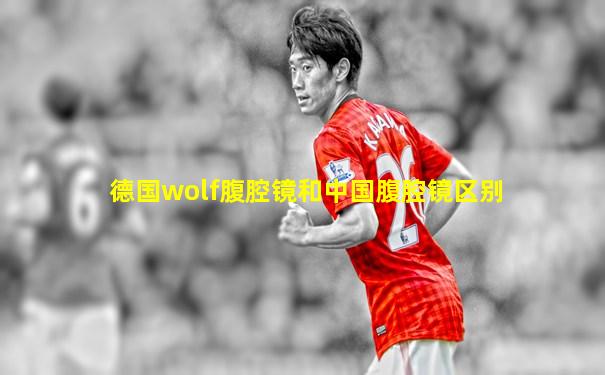 德国wolf腹腔镜和中国腹腔镜区别