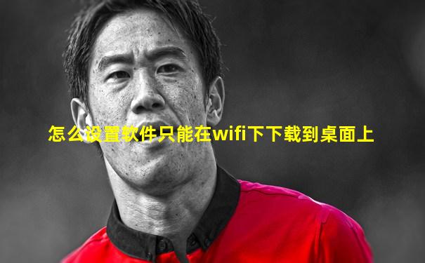 怎么设置软件只能在wifi下下载到桌面上