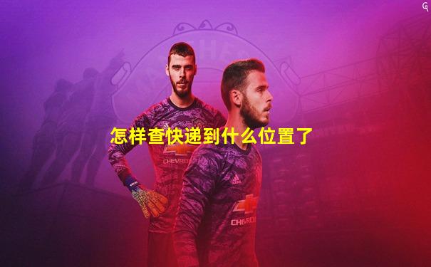 怎样查快递到什么位置了