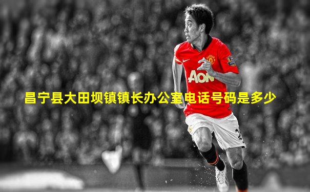 昌宁县大田坝镇镇长办公室电话号码是多少